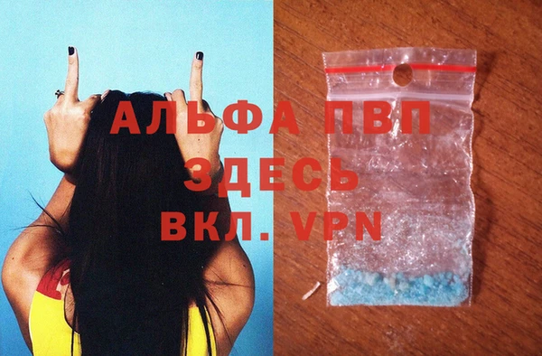 спиды Корсаков