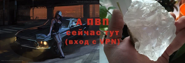 спиды Корсаков
