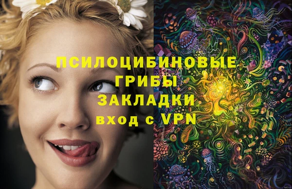 спиды Корсаков