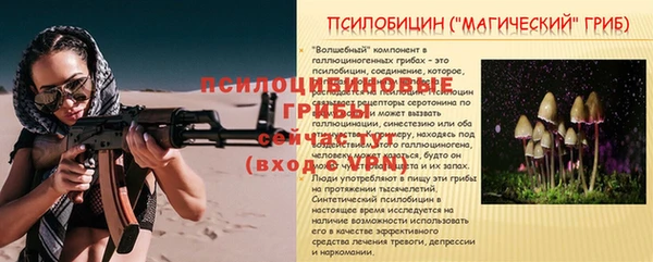 спиды Корсаков
