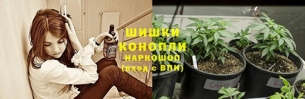 a pvp Костерёво