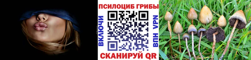 Галлюциногенные грибы GOLDEN TEACHER Соль-Илецк